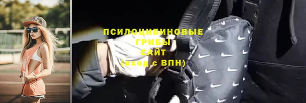 винт Вяземский