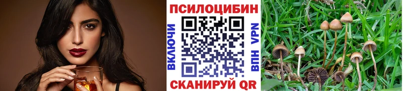 дарк нет как зайти  Давлеканово  блэк спрут онион  Галлюциногенные грибы Cubensis  купить закладку 